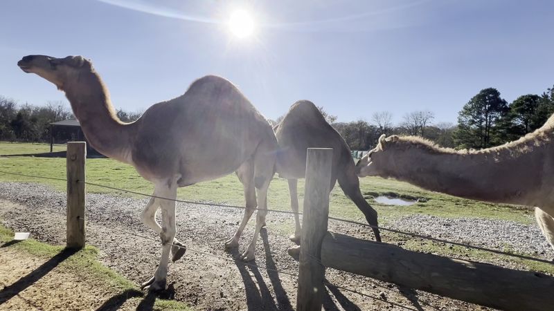 Accessibility and On Site Comforts