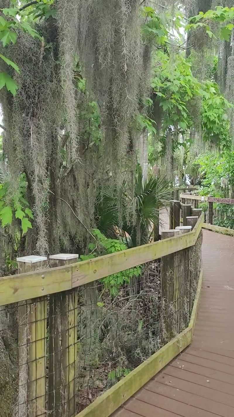 A Boardwalk That Feels Like Stepping Back in Time