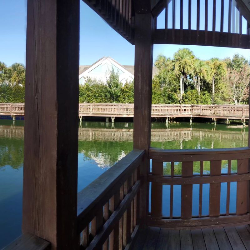 A Hidden Gem Worth Finding