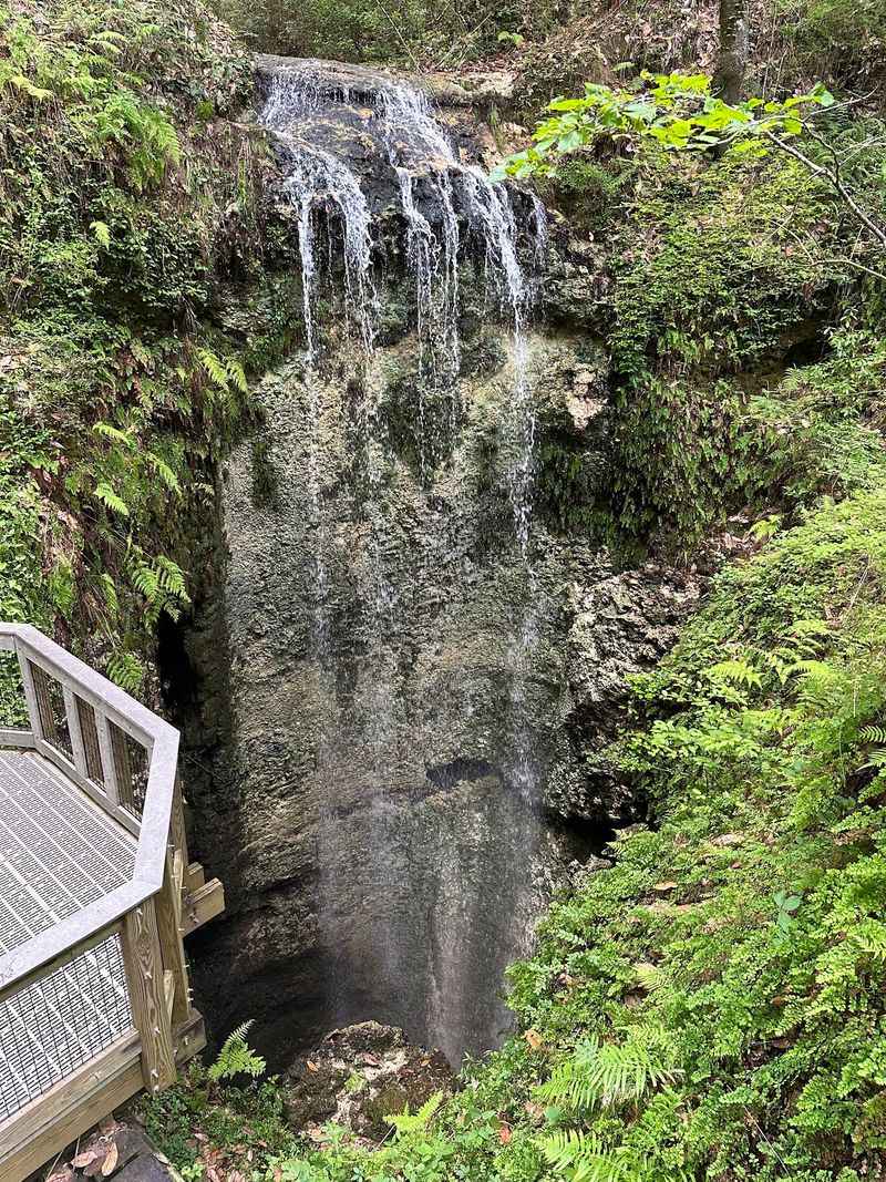 Falling Waters State Park (Chipley)