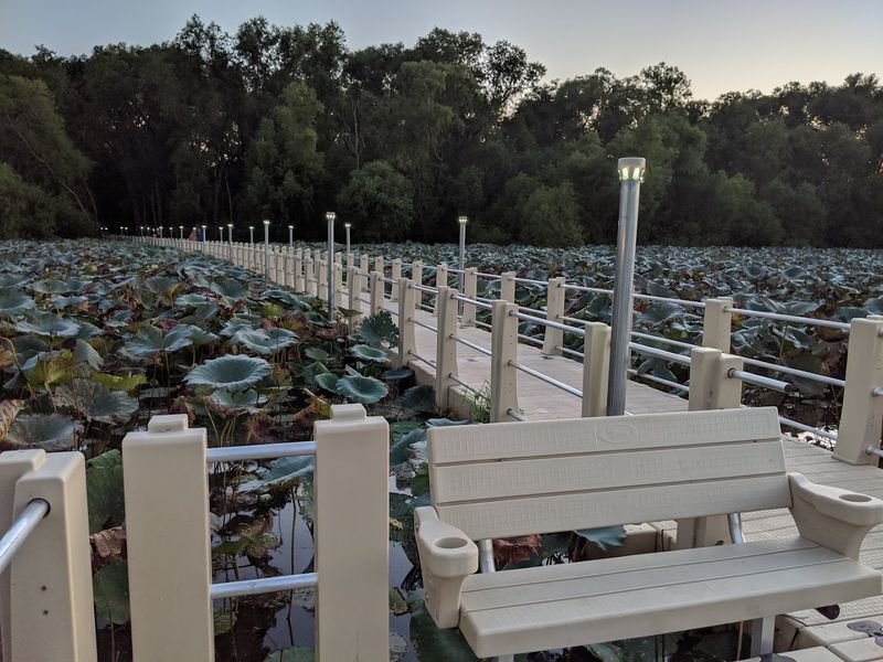 Accessibility, Strollers, And Pace