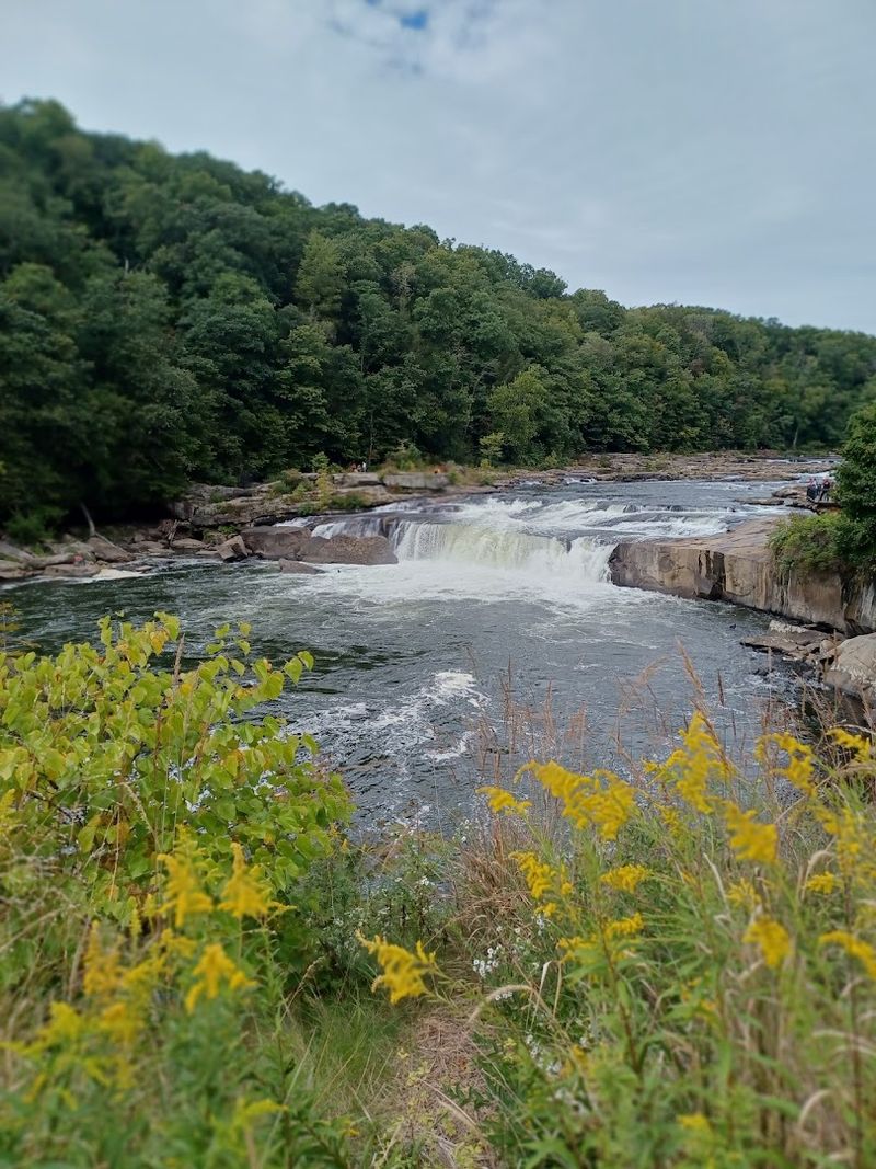 Ferncliff Peninsula Loop and Rare Plants