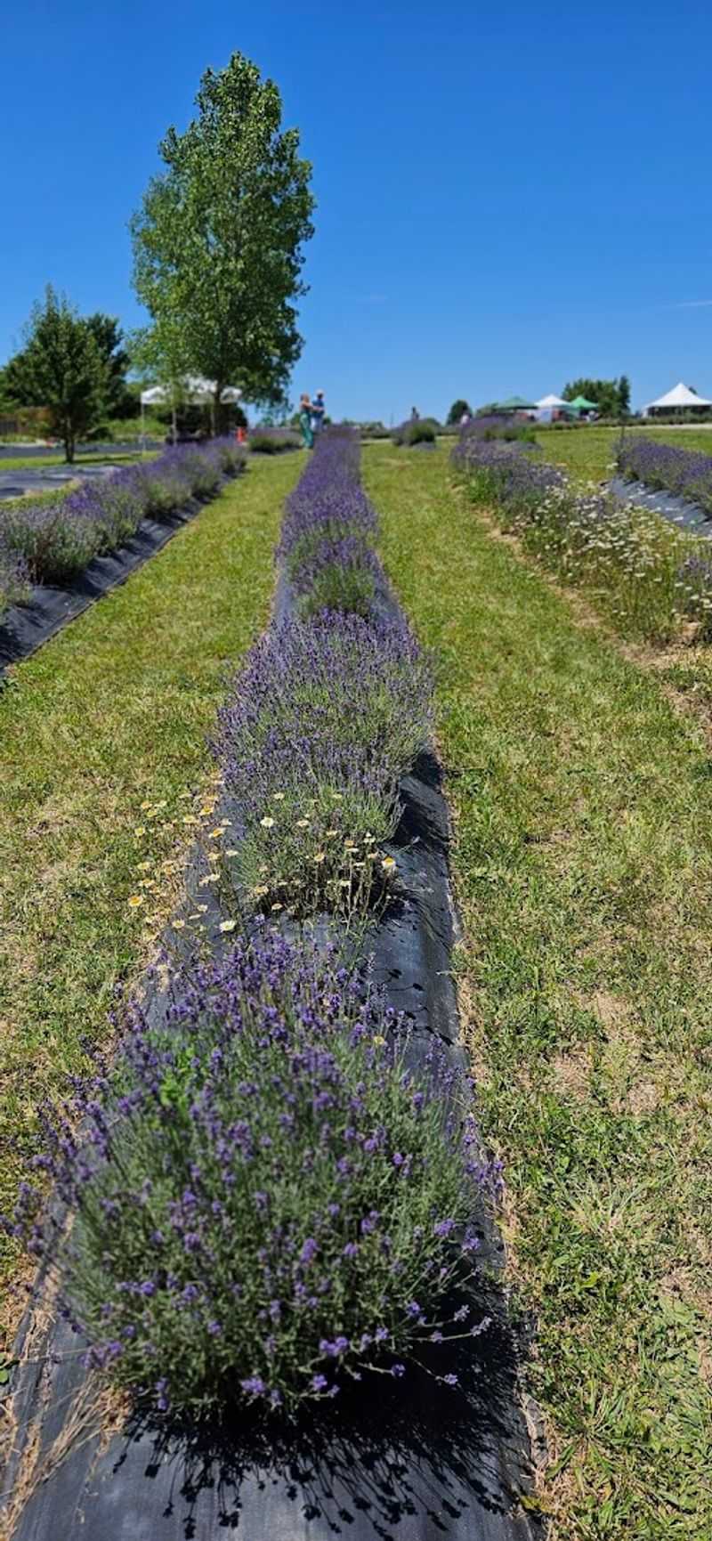 Plan Your Visit: Hours, Seasons, And Directions