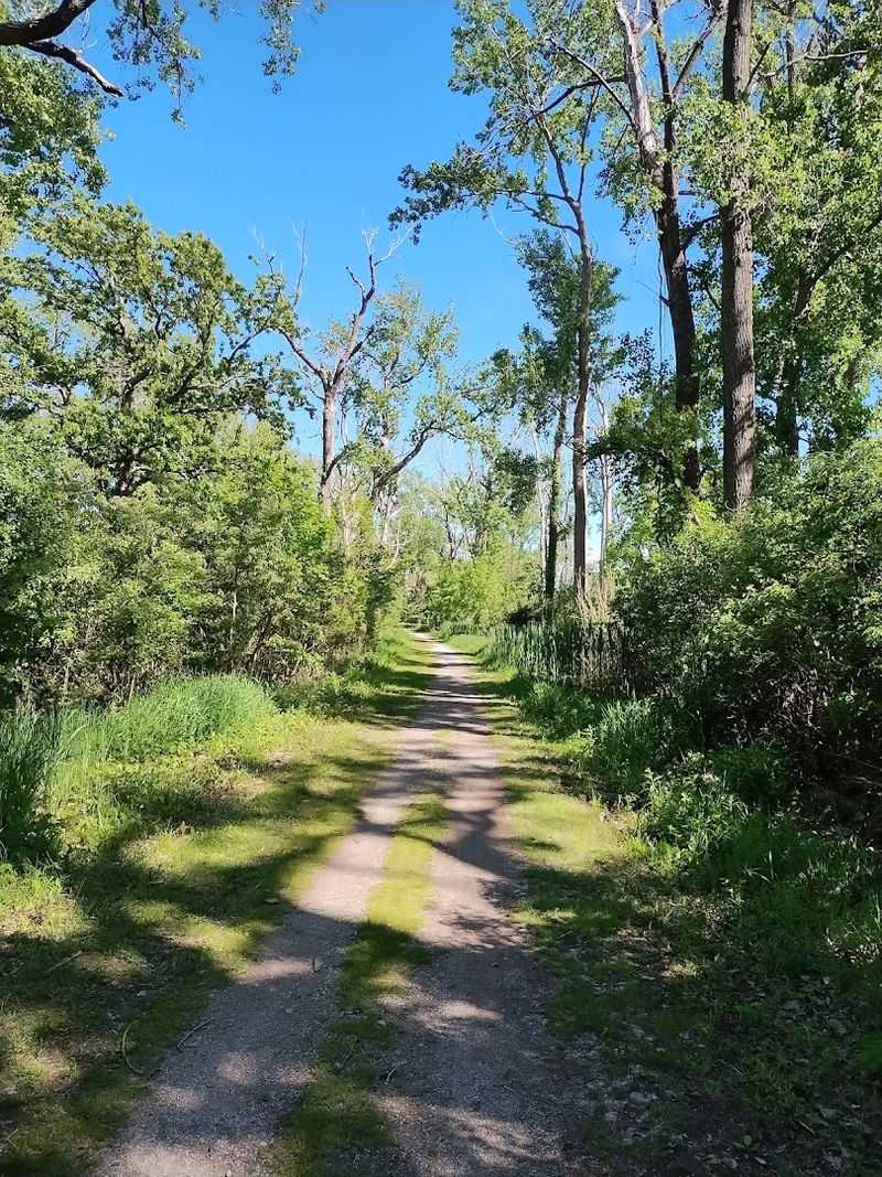 Easy Lakeside Trails