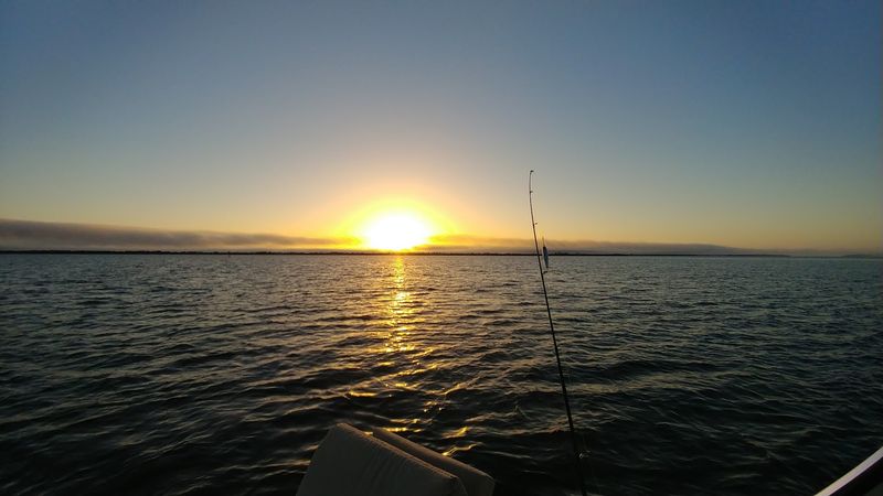 Guided Night Tours That Transform the Lagoon After Dark