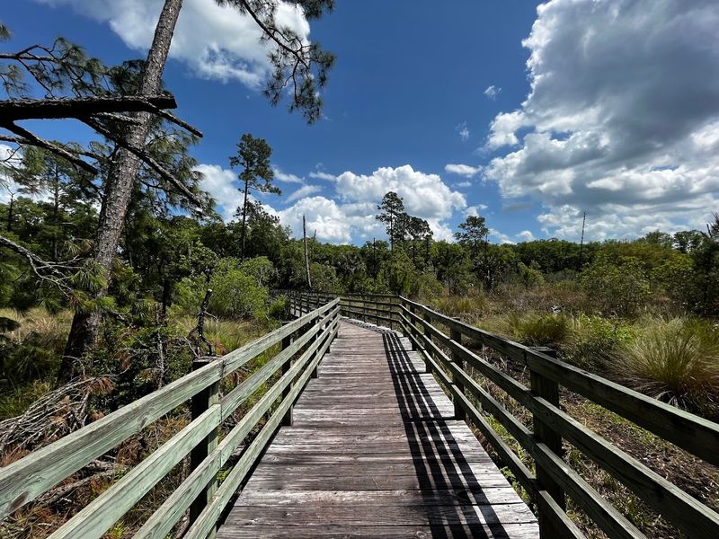 Guana Beach / GTM Reserve (Ponte Vedra Beach)