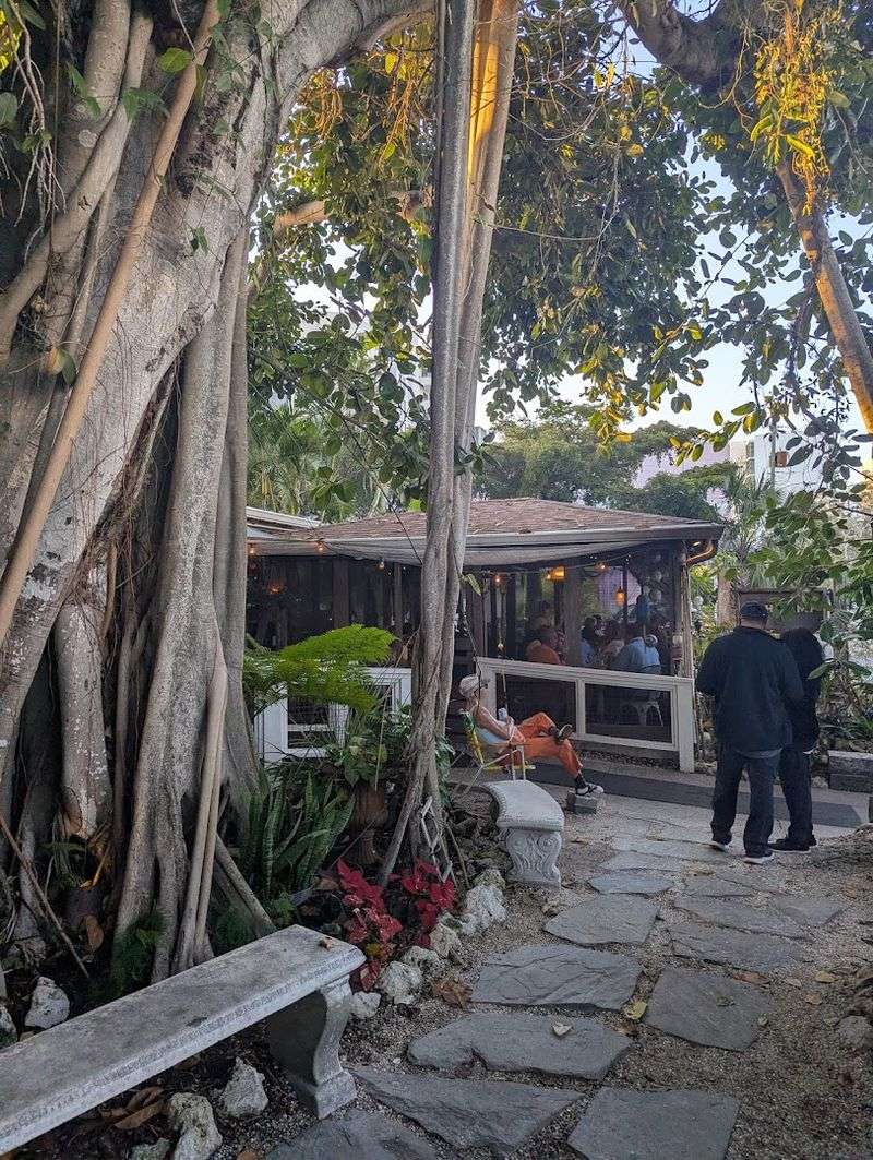 Old Florida Atmosphere Under the Banyan Tree