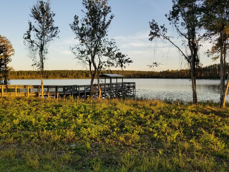 Lake Louisa State Park (Clermont)