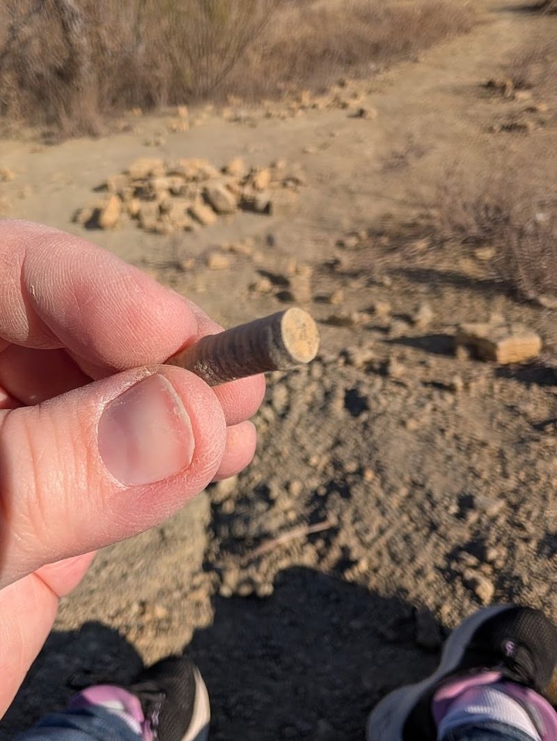 Completely Free Adventure for the Whole Family