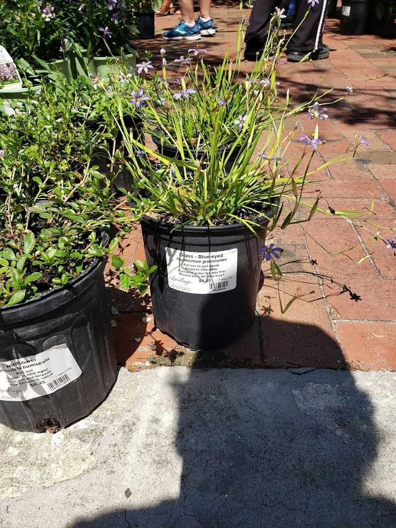 Planning Tips, Hours, And FAQs