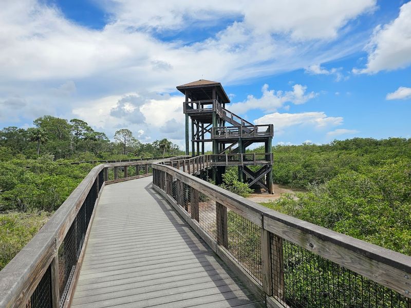 Observation Tower With Bay Views
