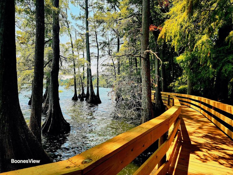 Reelfoot Lake State Park