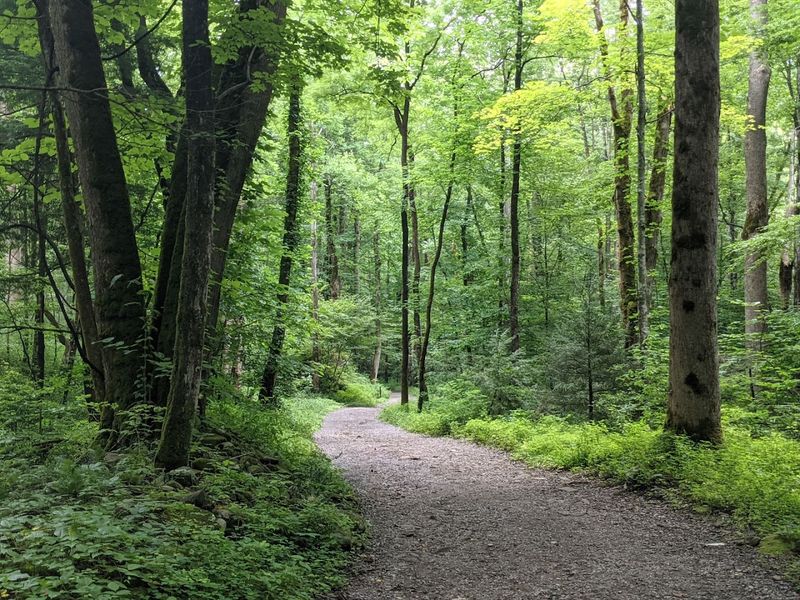 Trail Difficulty, Length, and What to Expect