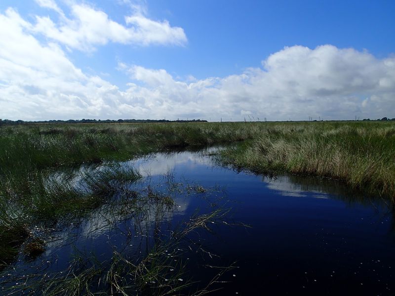 Lake Poinsett (Brevard County)