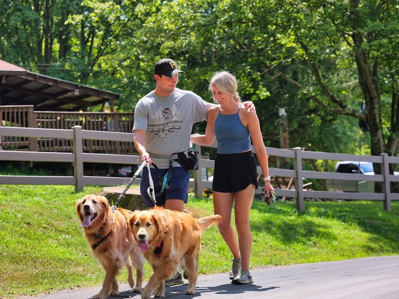 Happy Trails for Happy Tails