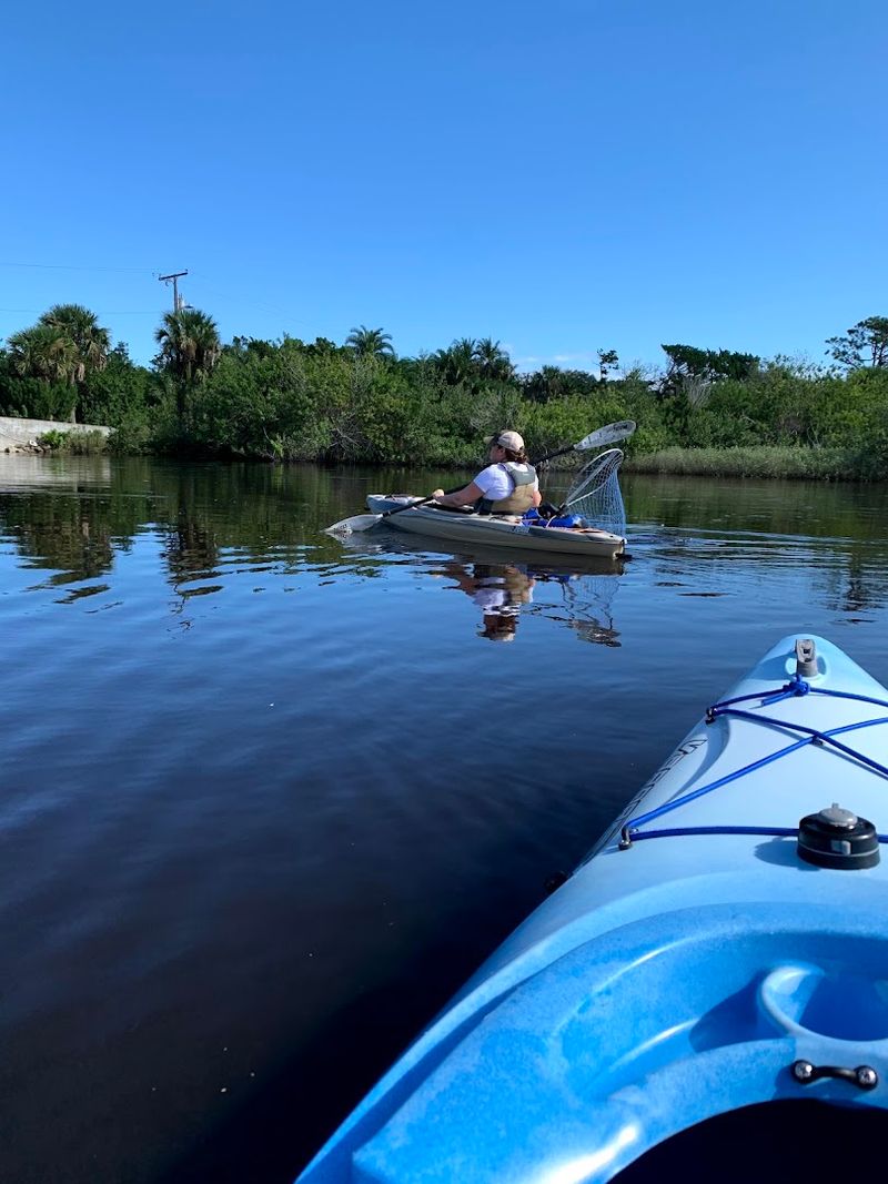 Wildlife Spotting Opportunities Around Every Bend