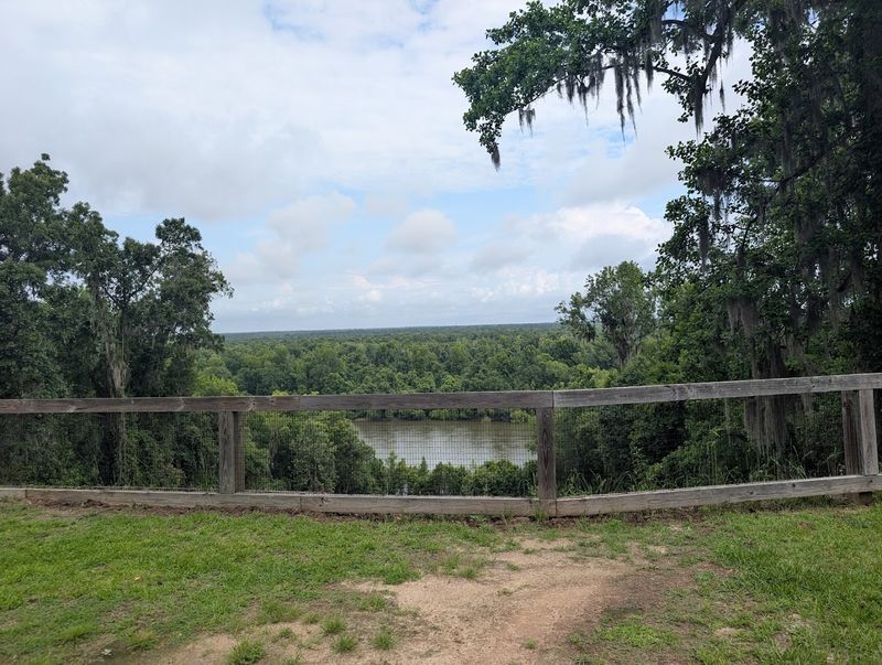 Wildlife Watching in an Elevated Ecosystem