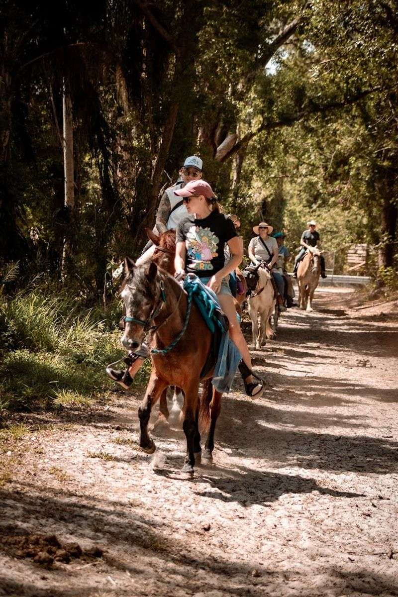 Ruxton's Ranch Rides (Pinellas Park)