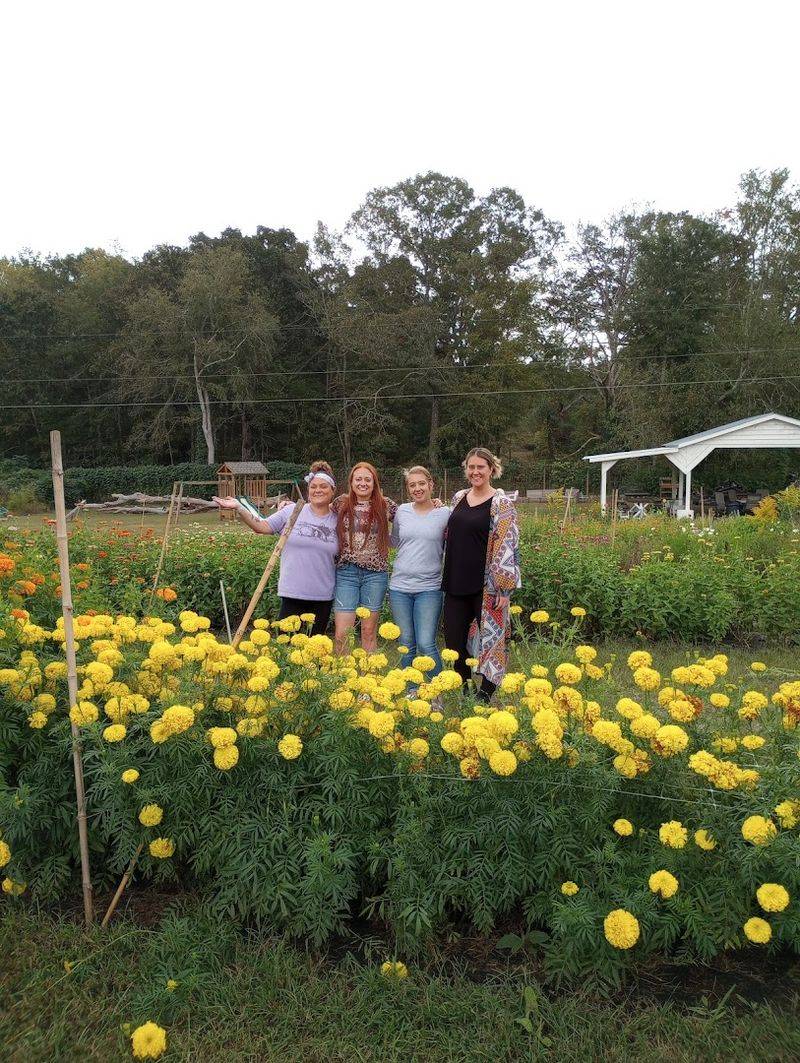 Events, Workshops, and Gatherings