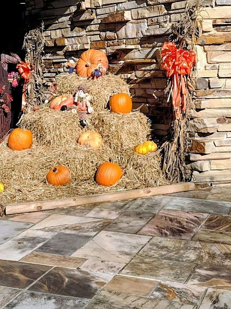 The atmosphere leans rustic, warm, and relaxed