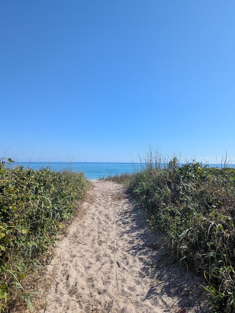 St. Lucie Inlet Preserve State Park (Stuart)