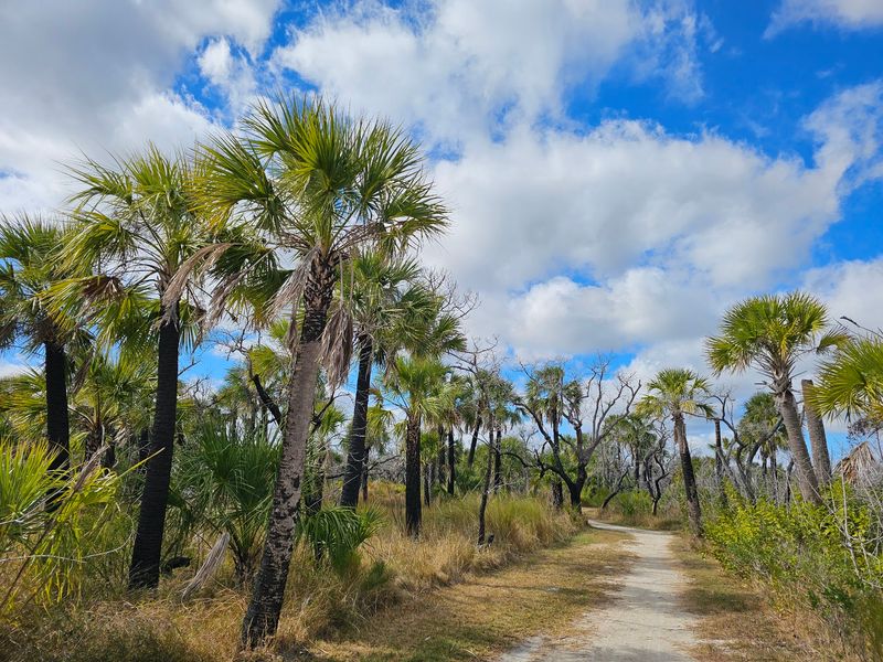 Multiple Short Trails Perfect for Casual Explorers