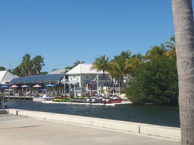 Snorkeling and Diving Along the Only Living Coral Reef in the Continental US