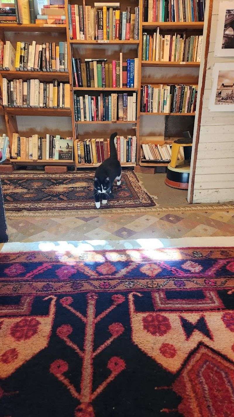 Nature, Local History, and Books That Belong to These Hills