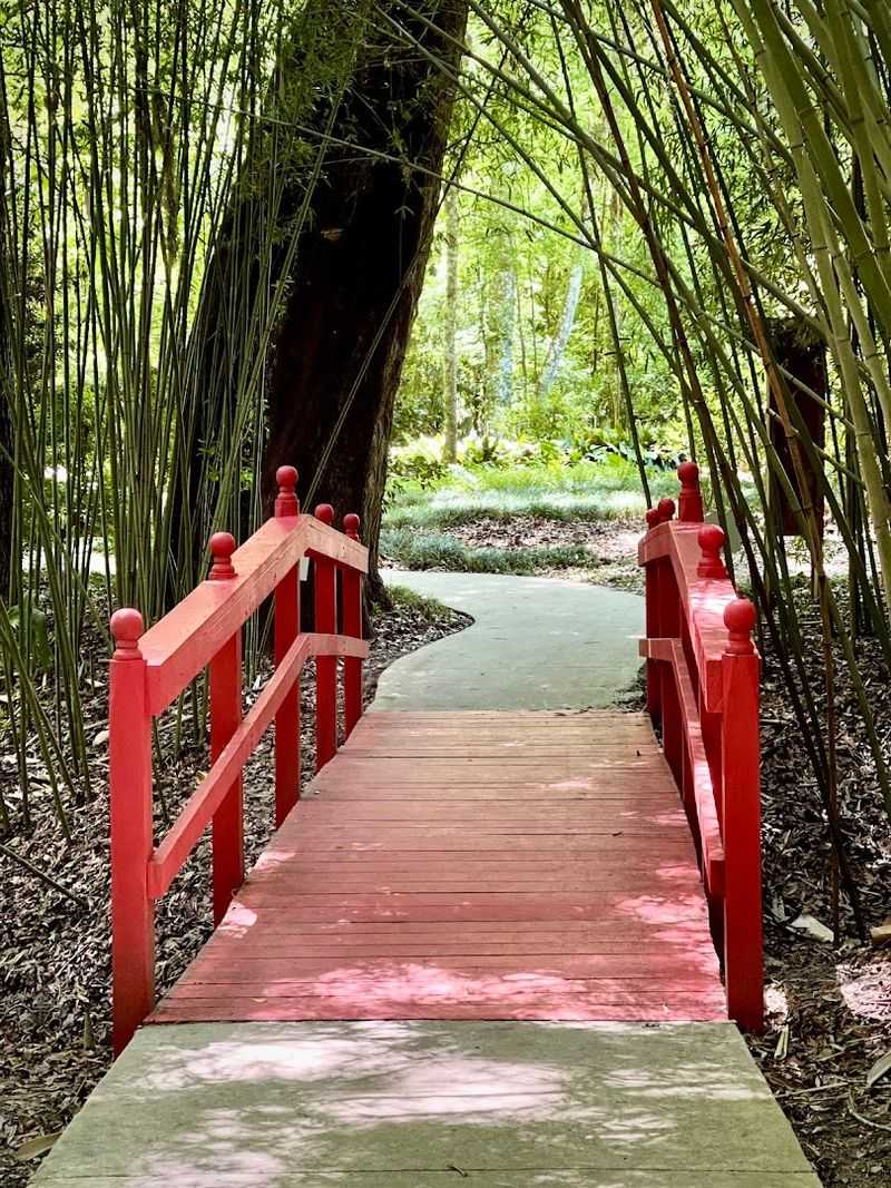 Accessible Paths, Maps, and Easy Planning