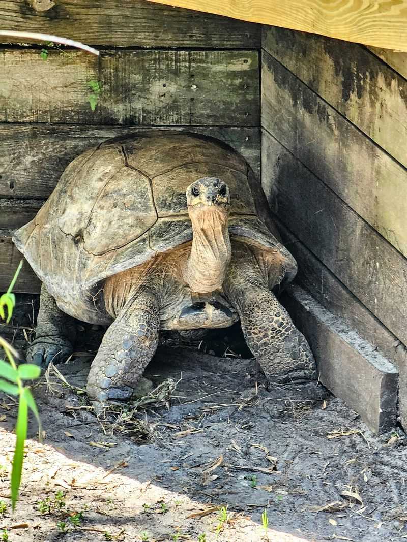The Herpetarium's Incredible Reptile Collection