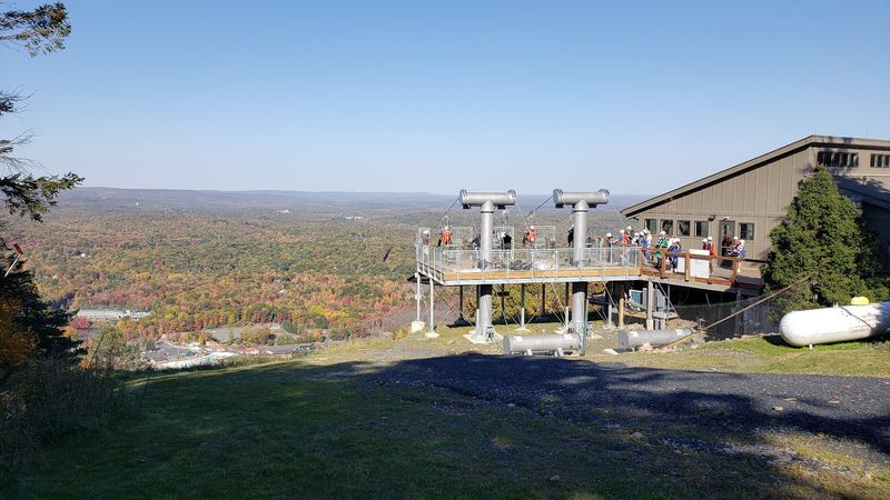 What to Expect Before You Launch