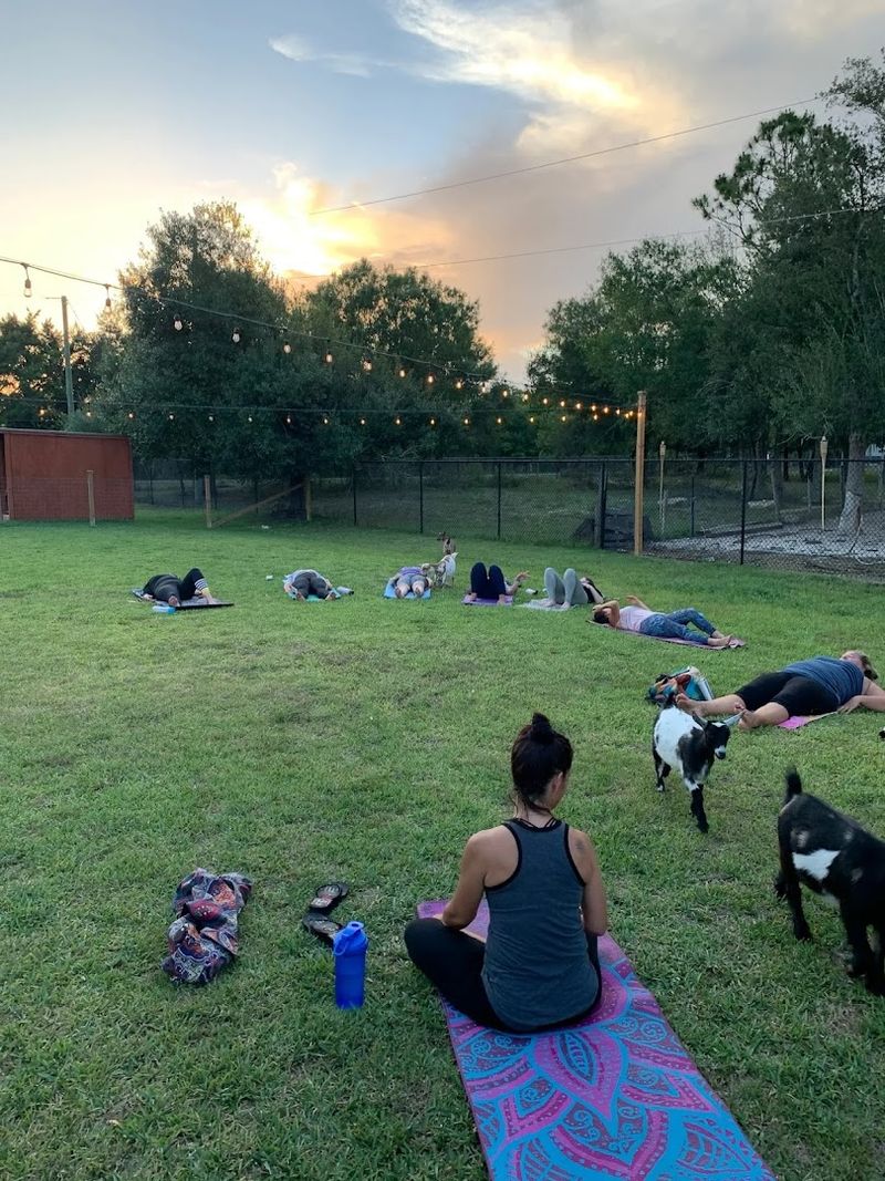 Perfect Team Building Activity