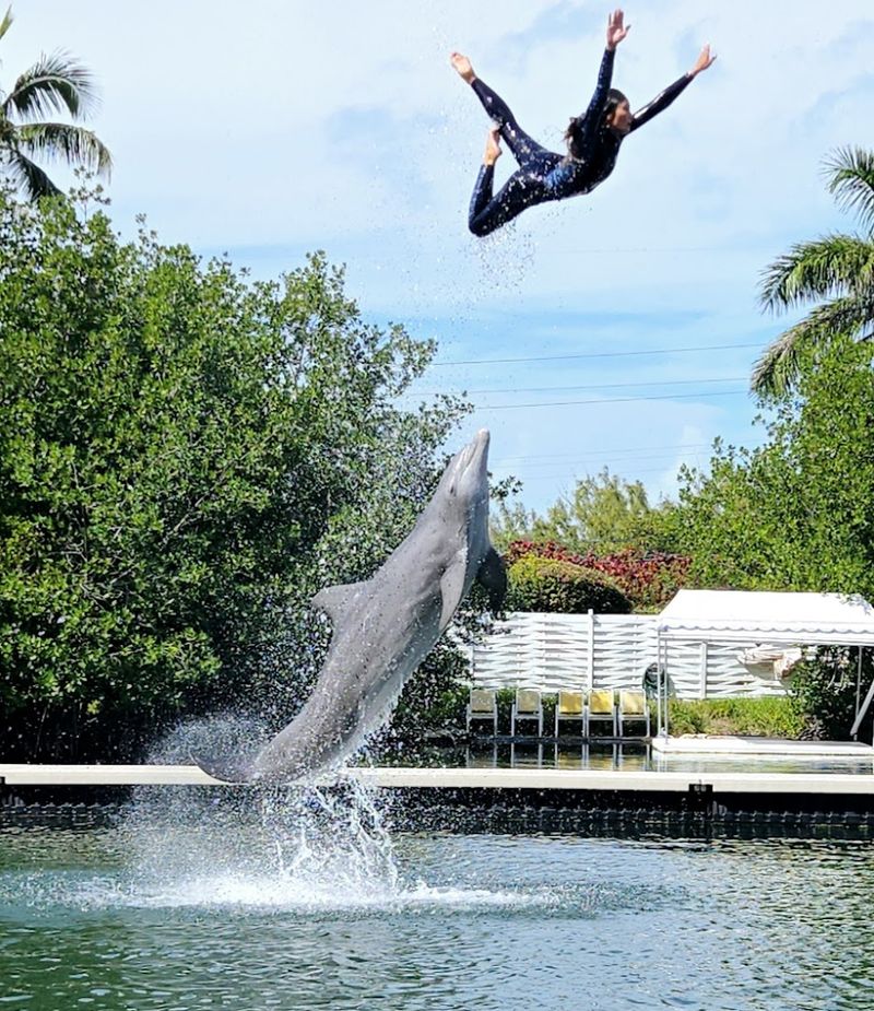 Smart Planning For A Smooth Islamorada Day