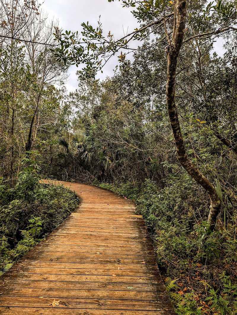 Wooden Bridges Connecting the Islands