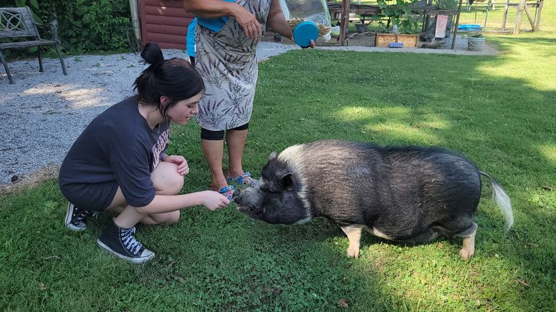Meet the Animals That Greet Guests Like Old Friends