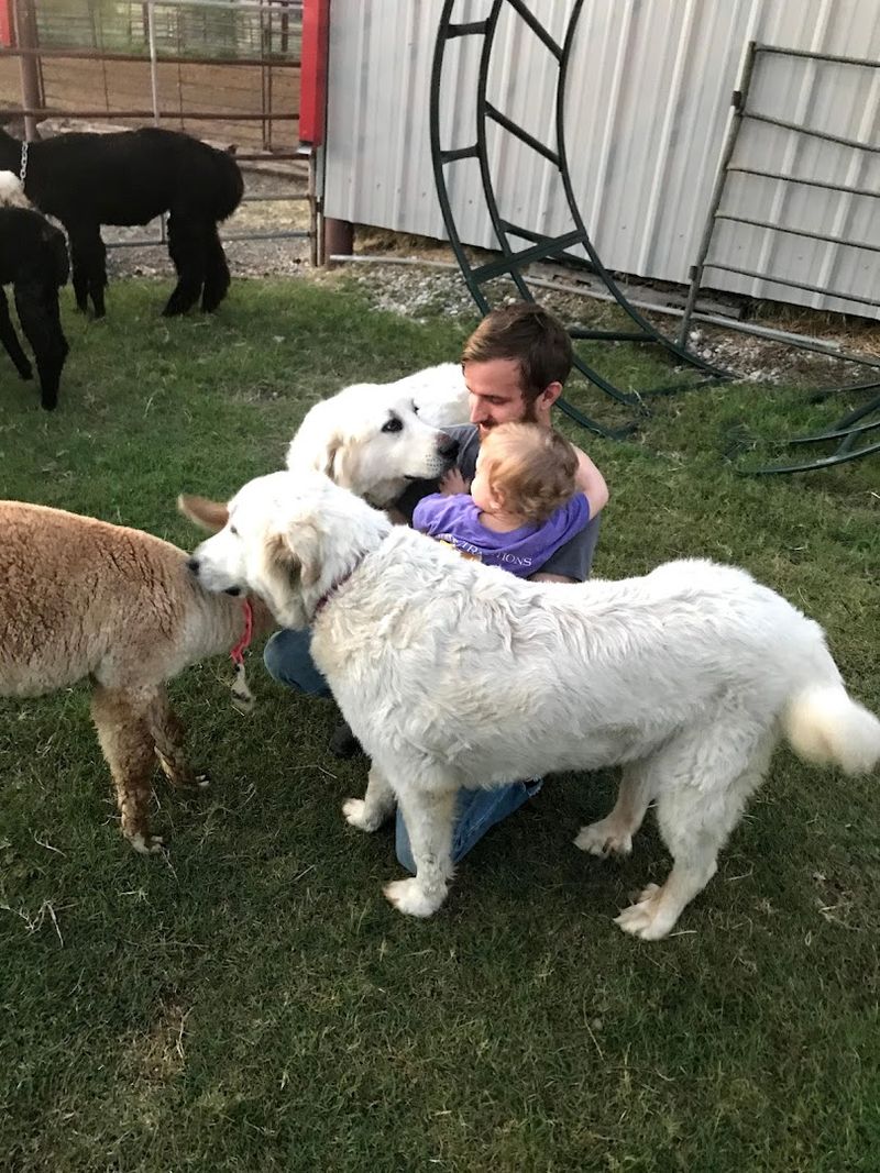 Why This Farm Means So Much To The Family Behind It
