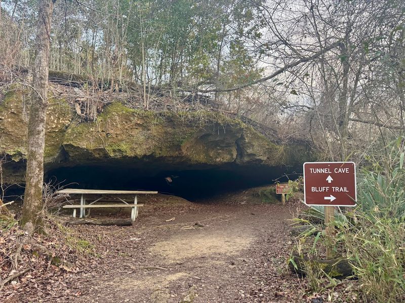 Hiking Trails Through Limestone Bluffs
