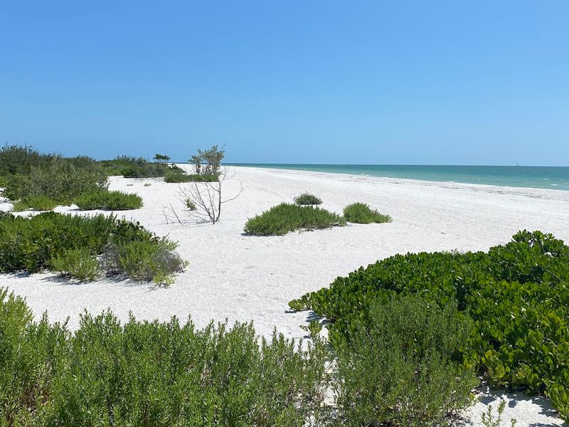 Sand Dollar Spit Shelling Secrets