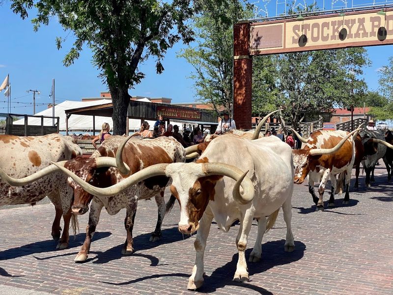 Fort Worth: The Western Counterweight to Dallas
