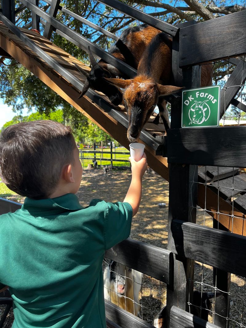 October Means Peak Fall Festival Season