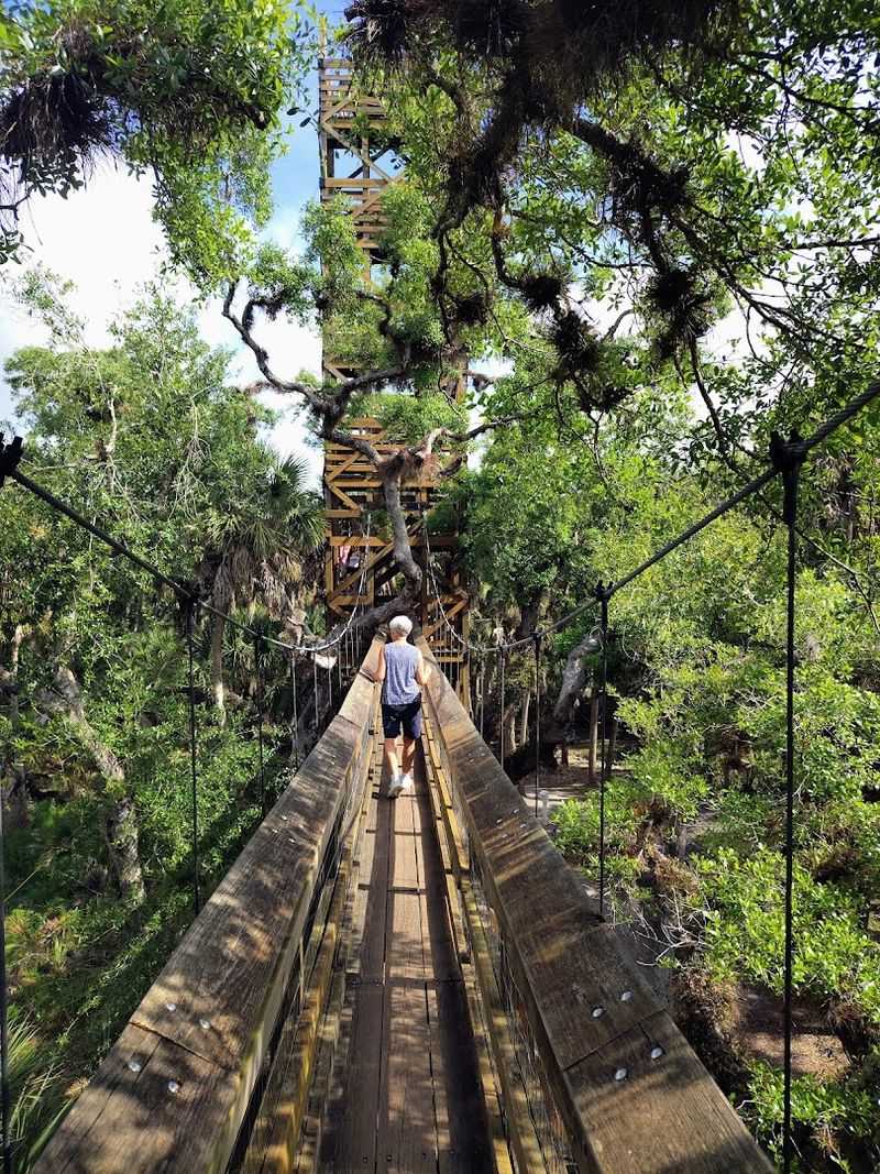 Myakka River State Park Trails (Sarasota)