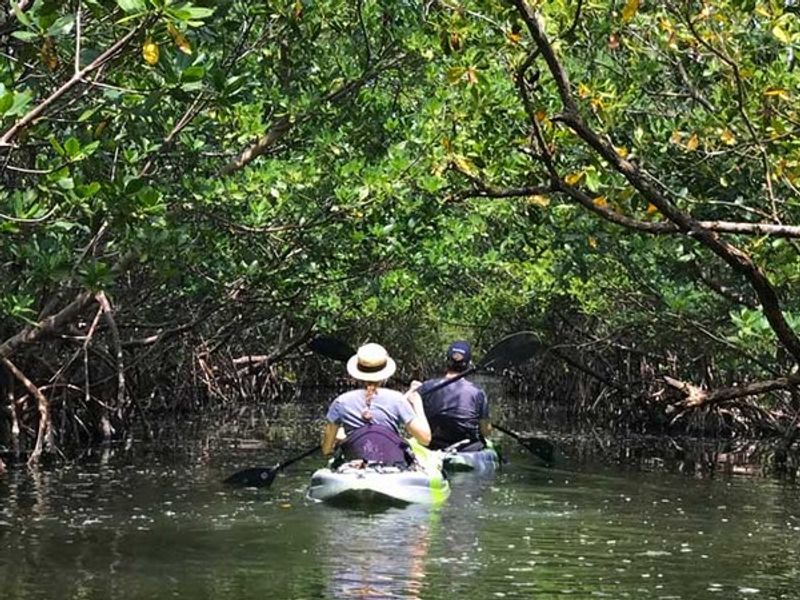 Oleta River State Park (North Miami Beach)