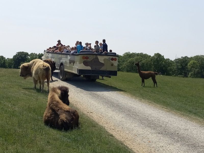 A small start that grew into a major wildlife destination