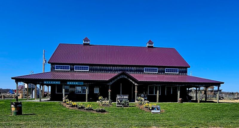 A welcoming farm market, food, and relaxed atmosphere