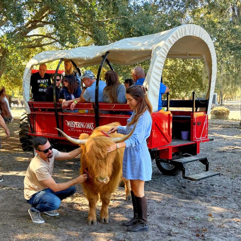 Take a Wagon Ride Through Rolling Pastures