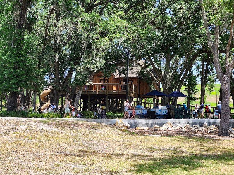 A Giant Treehouse That Sparks Imagination