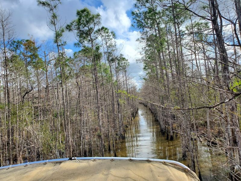Backcountry Camping in Flooded Wilderness