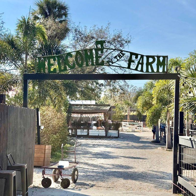 Location Makes This Festival Ridiculously Accessible