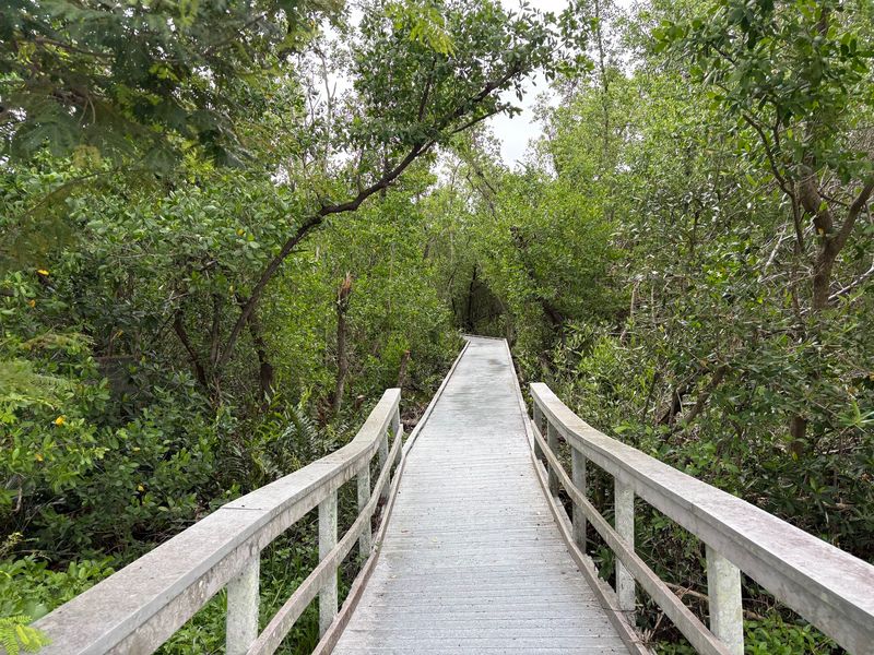 A Boardwalk That Keeps Your Shoes Clean