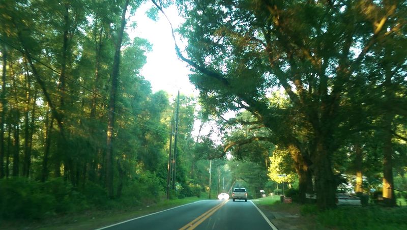 Old Bainbridge Road (Tallahassee)